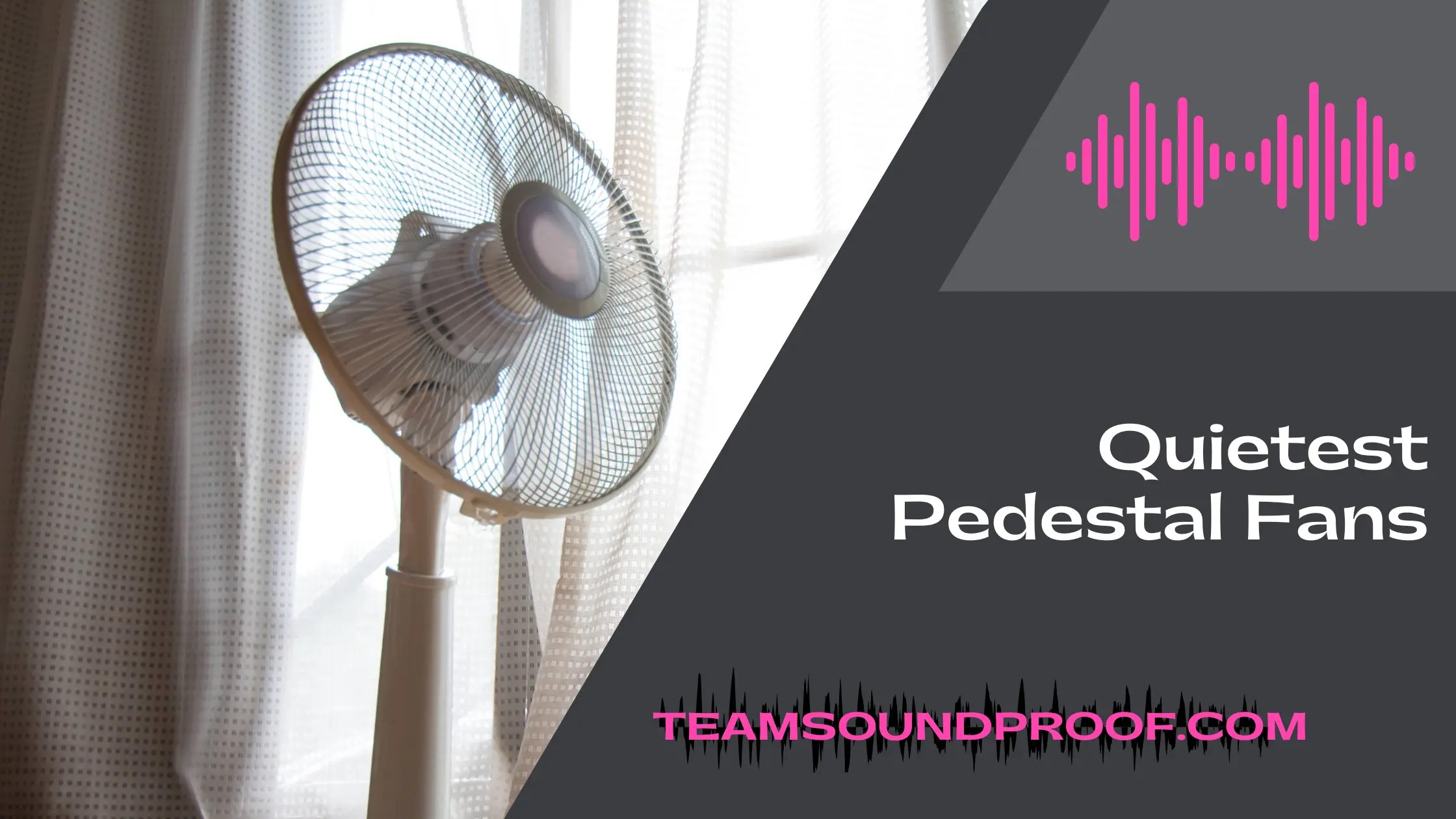 Unbeatable List of Top 6 Best Quietest Pedestal Fans 2023